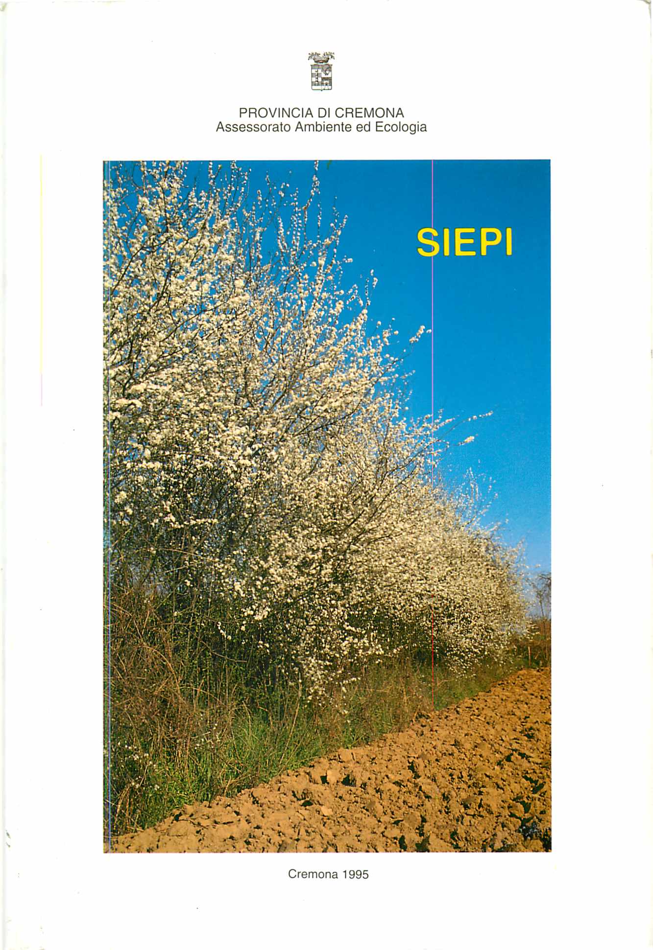 Copertina libro Siepi